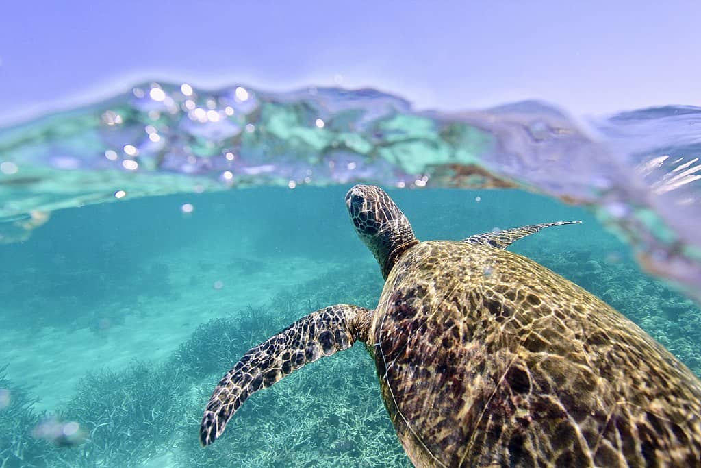 lugares para visitar na Austrália