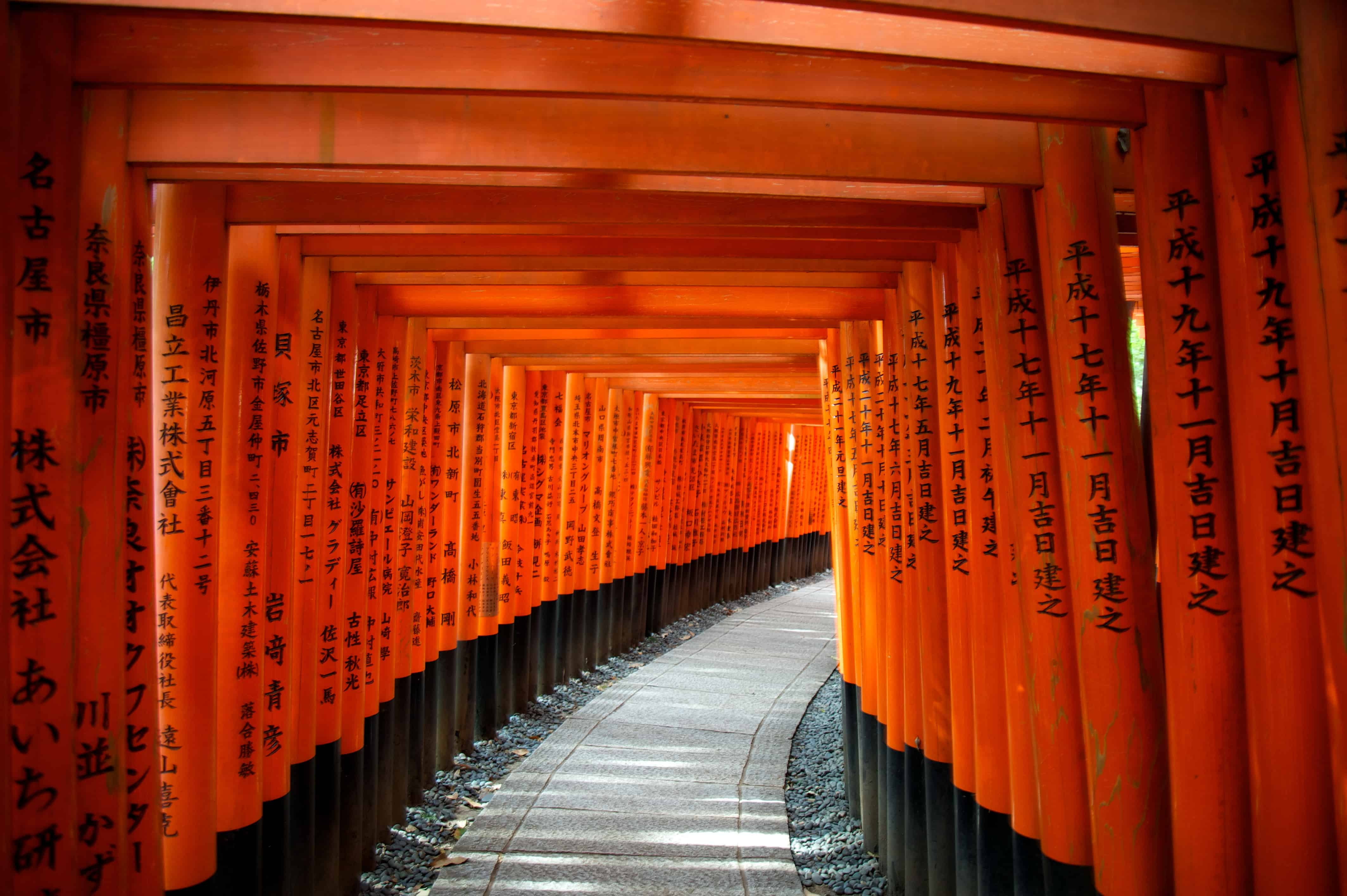 Torii gates—Fushimi Inari Shrine