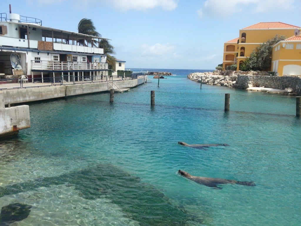 Confira dicas de como aproveitar o melhor de Curaçao, no Caribe