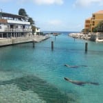 Confira dicas de como aproveitar o melhor de Curaçao, no Caribe