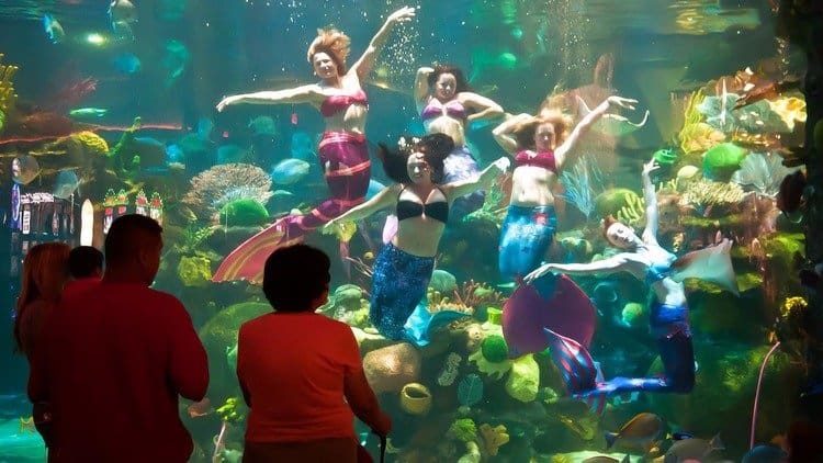 Bar em Las Vegas tem aquário gigante e apresentações com sereias