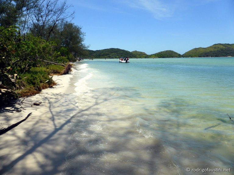 Ilha do Japonês: um paraíso escondido no Rio de Janeiro