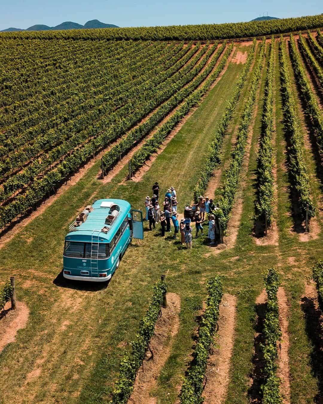 Vinícolas do Brasil