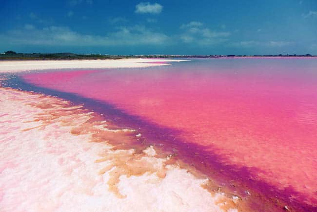Laguna-Salada-de-Torrevieja-Spain