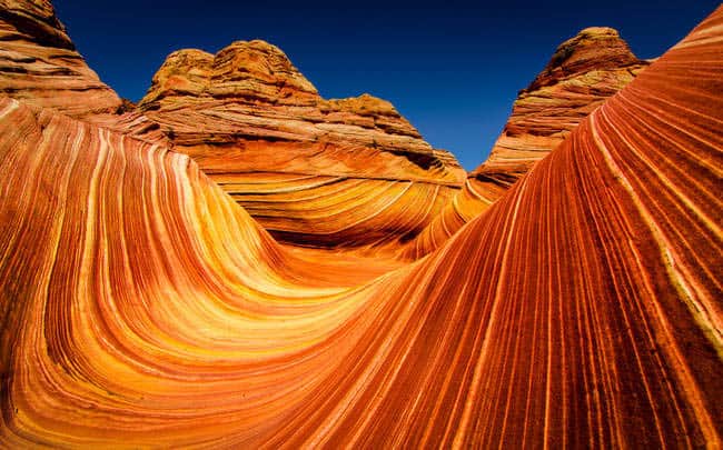 the wave