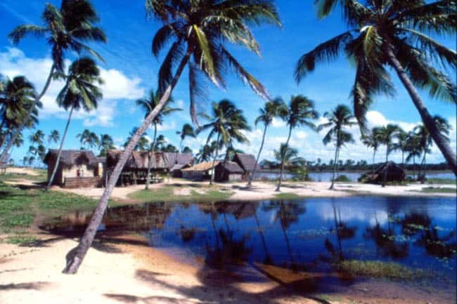 Aldeia hippie na Bahia (5)