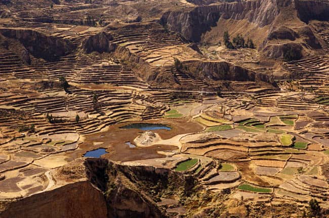 colca-canyon4-lg