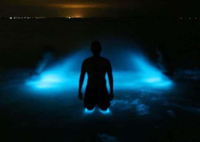 Glistening Waters, na Jamaica, é uma impressionante lagoa luminosa