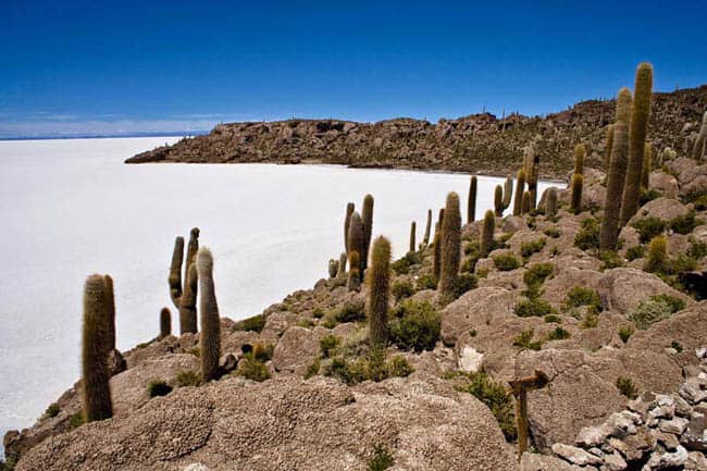 Isla-Incahuasi
