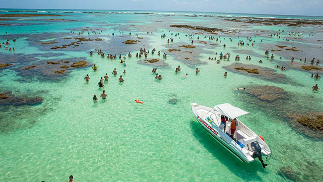 As mais lindas praias de Alagoas