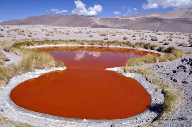 Ojos de Campo