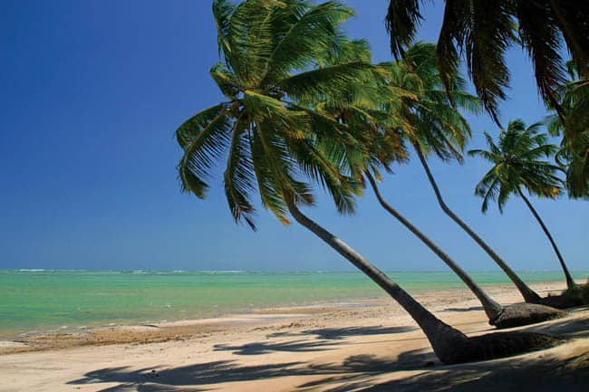 As mais lindas praias de Alagoas