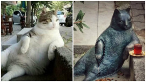Istambul ganha estátua do ‘gato mais tranquilo do mundo’