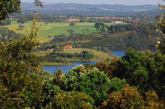 alentejo12