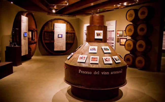 museo-de-la-vid-y-el-vino