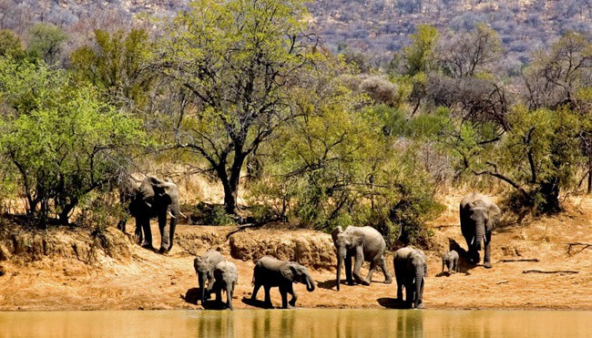 pilanesberg-national-park