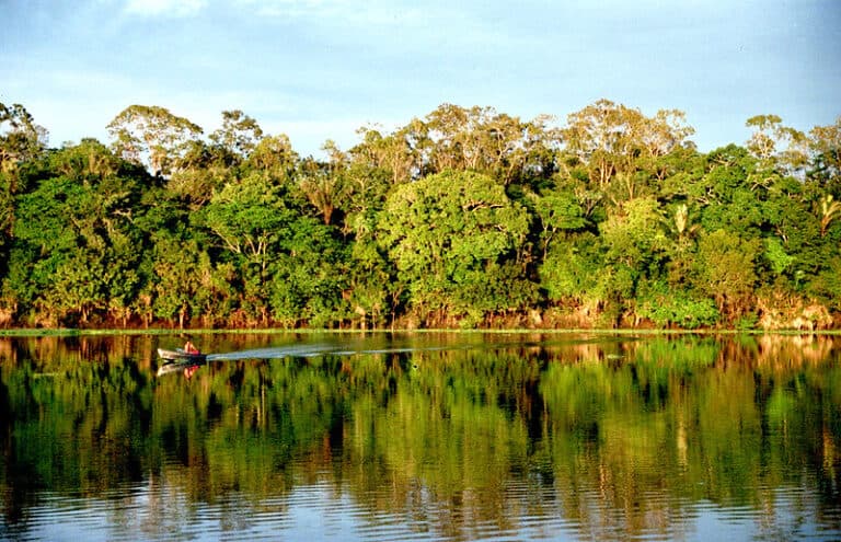 Viajar para a amazônia é uma ótima pedida para as férias 
