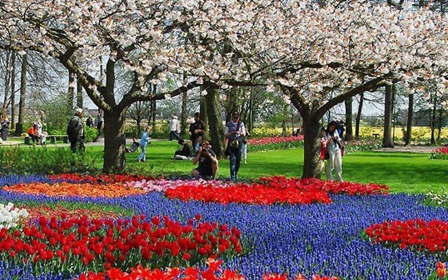 Parque Keukenhof na Holanda é o mais florido do mundo