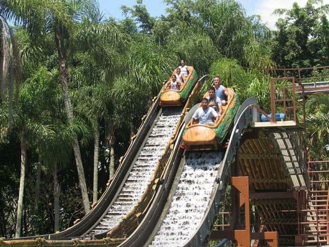 Guia Beto Carrero World Dicas Práticas Para Curtir A Disney Brasileira 4257