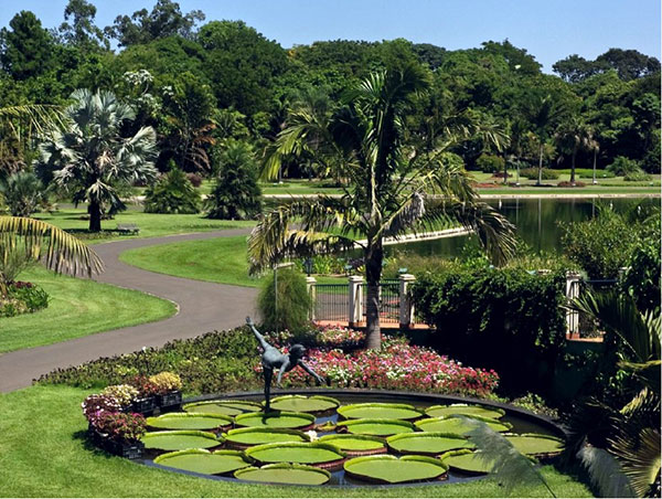 No interior de São Paulo, Jardim Botânico Plantarum tem o maior acervo da América Latina