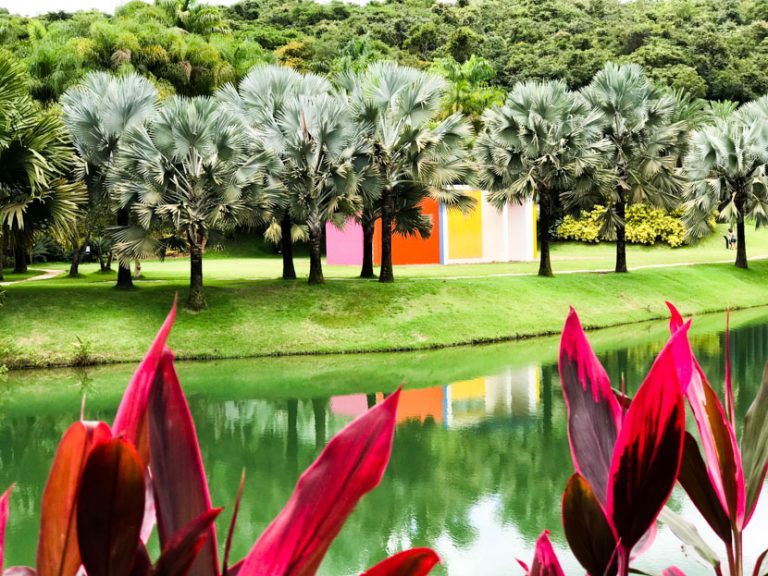 O que conhecer no Instituto Inhotim, o maior museu a céu aberto do Brasil