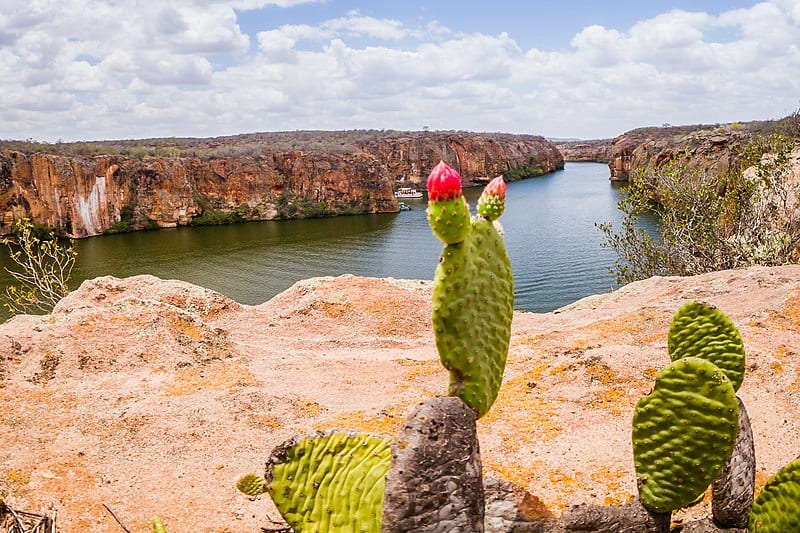 visitar em Alagoas