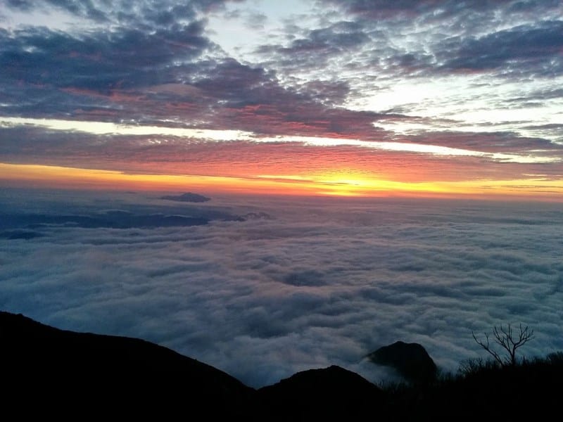 pico paraná