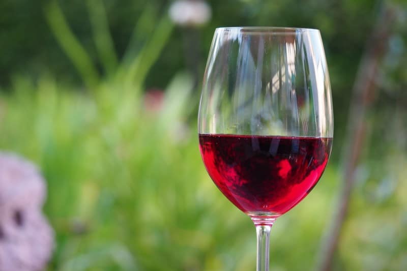 Dia do Vinho anima a região Sul do Brasil e suas vinícolas