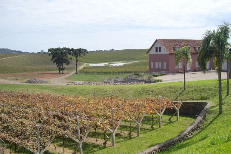 Flores da Cunha, maior produtora de vinhos do Brasil e destino perfeito para o inverno