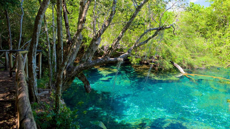 As incríveis lagoas azuis do parque ecológico Ojos Indígenas, em Punta Cana