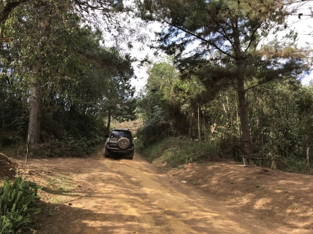 Morro da Palha em Campo Magro