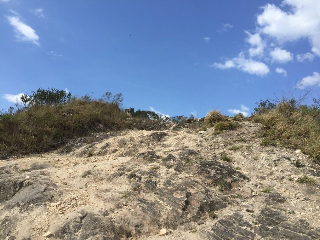 Morro da Palha em Campo Magro