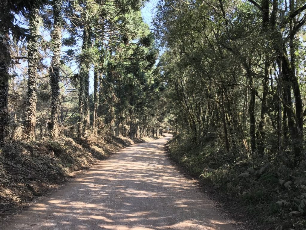 Morro da Palha em Campo Magro