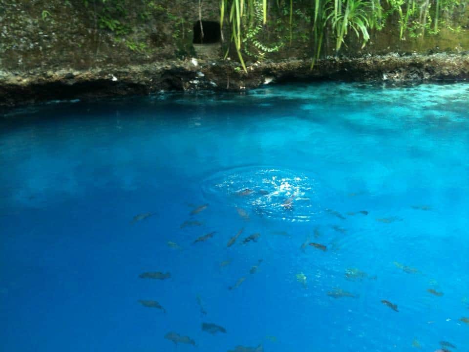 Rio Encantado