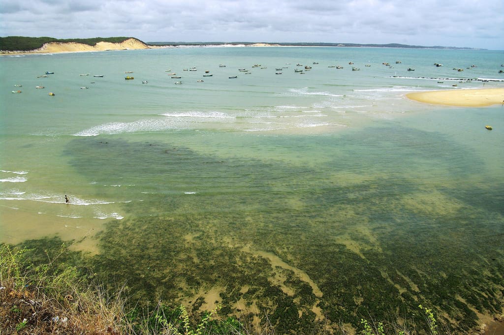 Baía Formosa une natureza e praias lindas no Rio Grande do ...