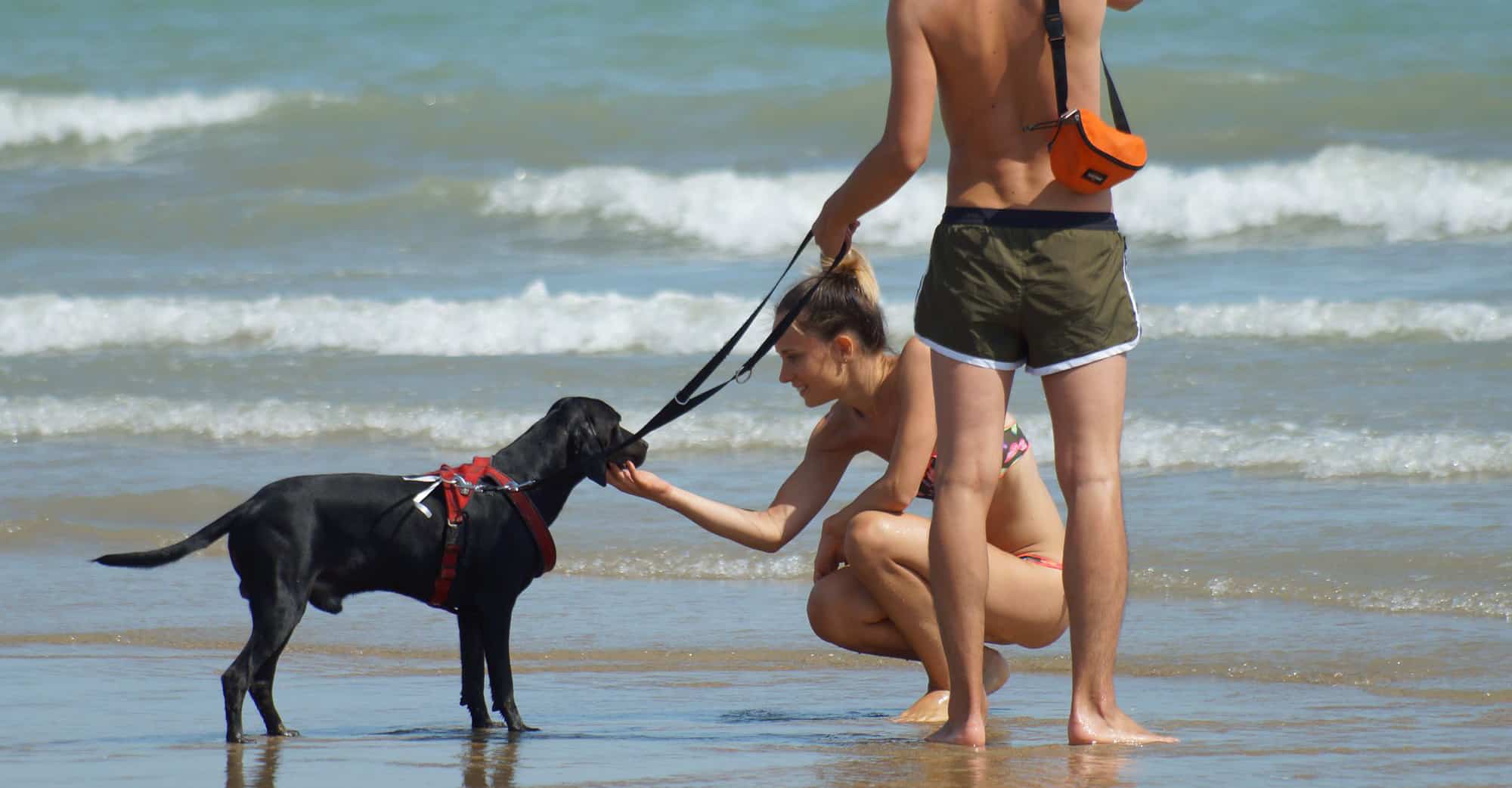 bau bau beach