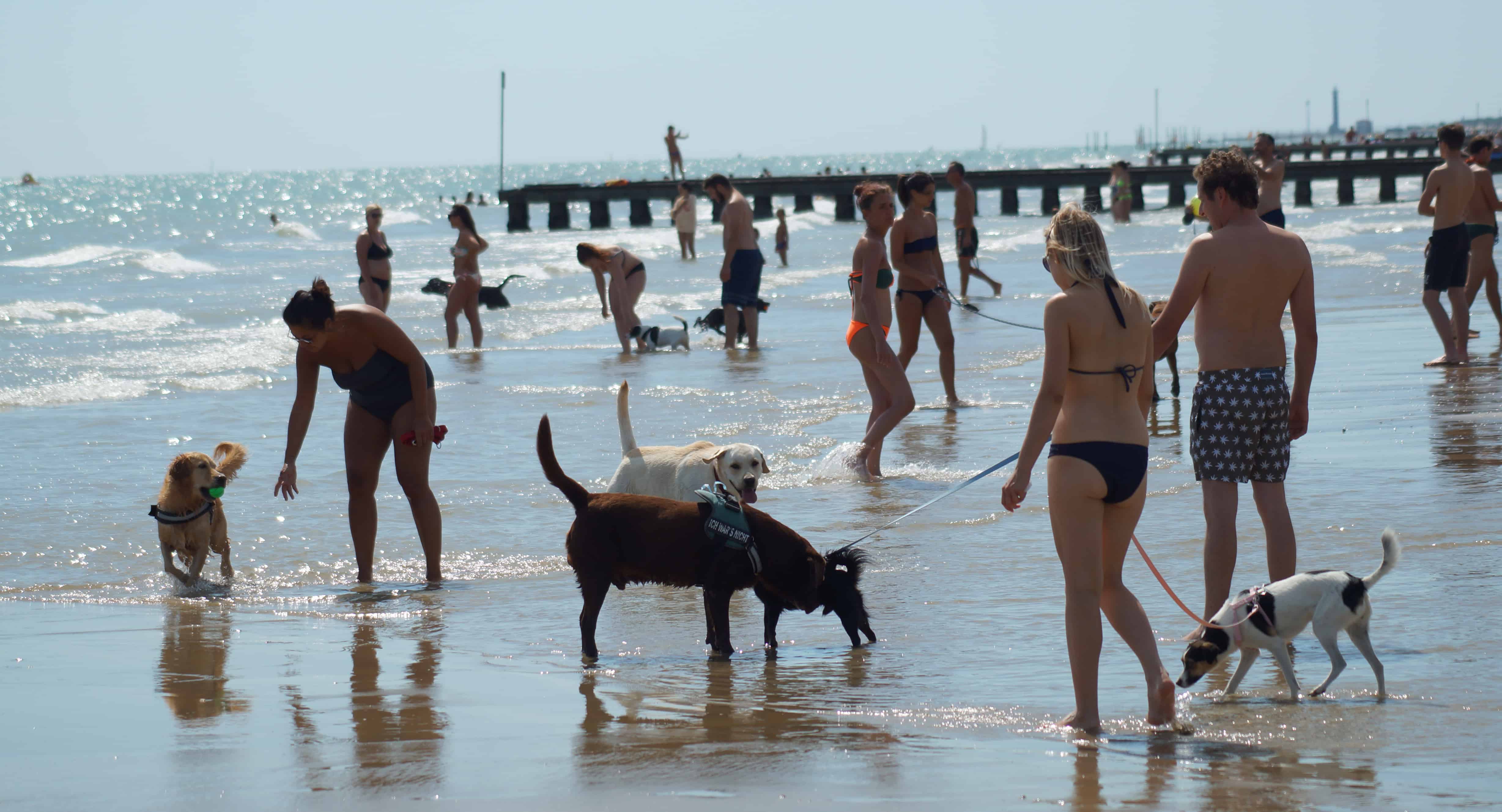 bau bau beach