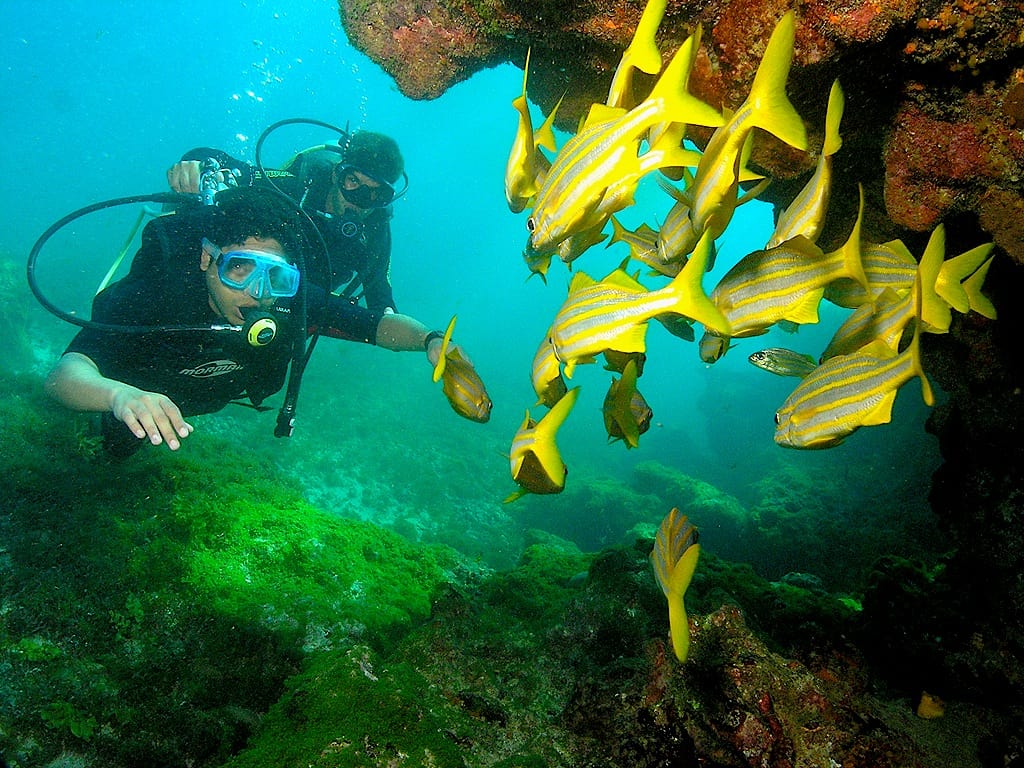 fernando de noronha sem gastar muito