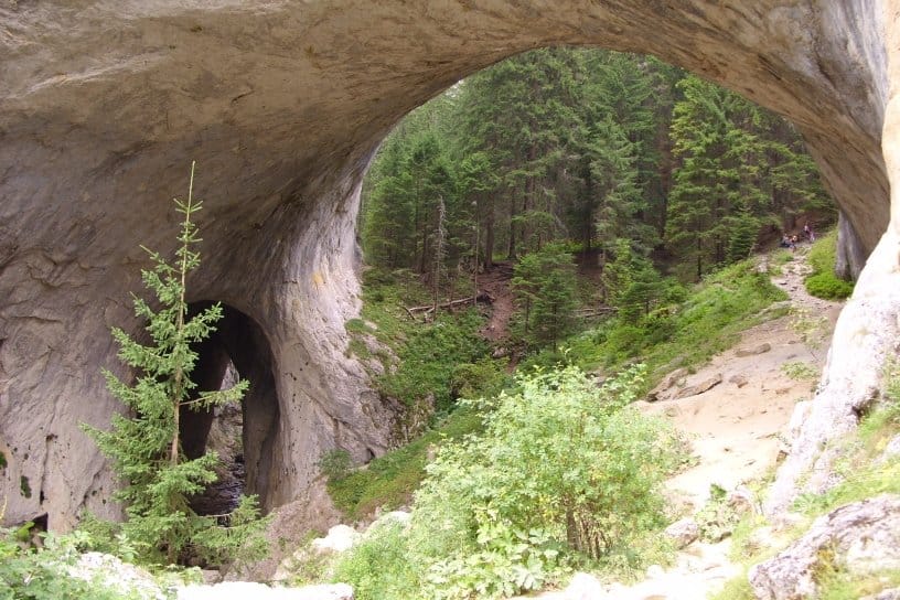 marvelous bridge
