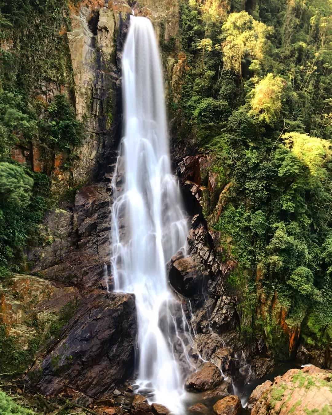 parque ecológico do pequerê