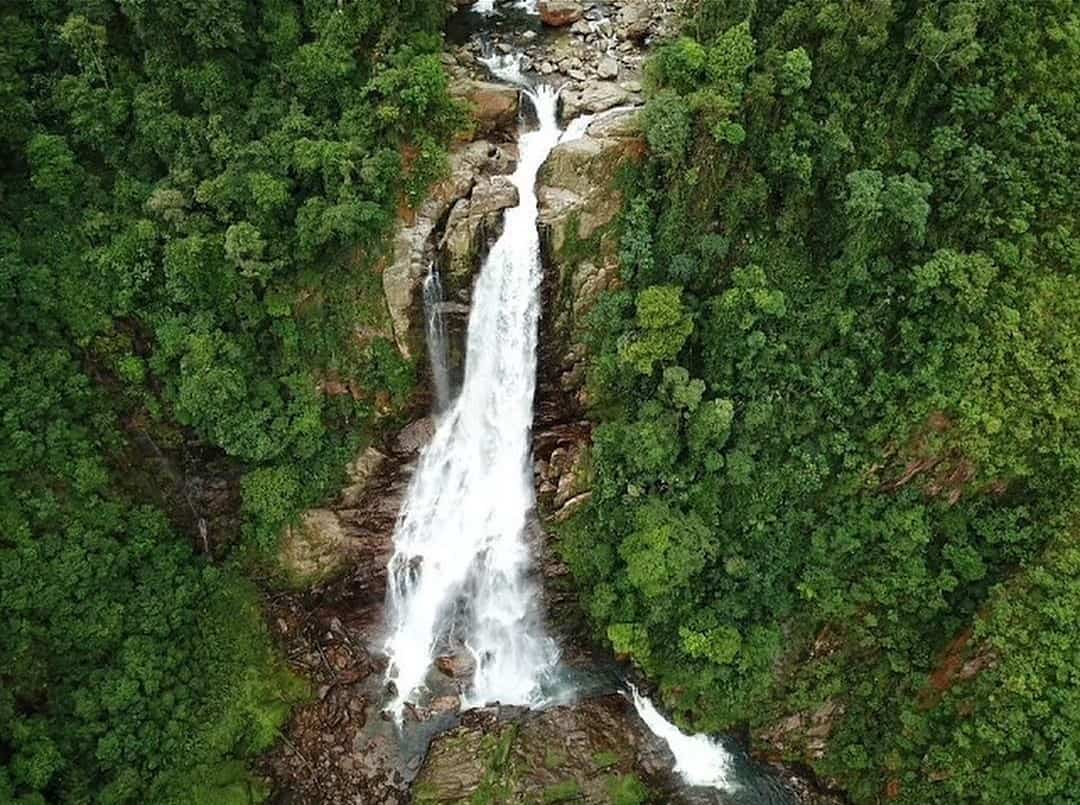 parque ecológico do pequerê