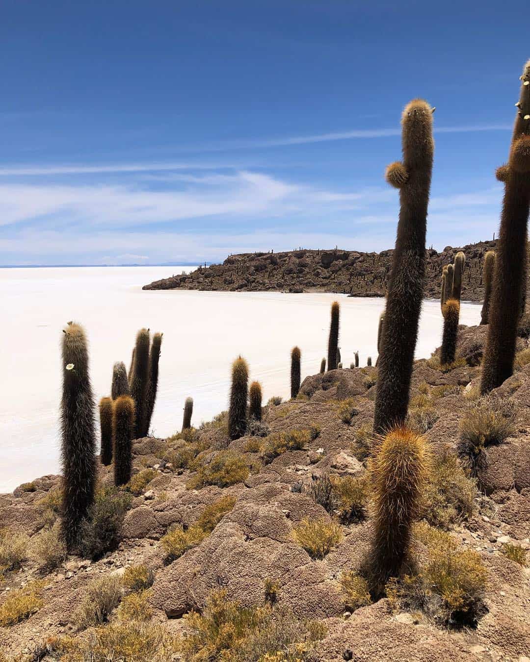 Salar De Uyuni: O Que Você Precisa Saber Antes De Ir Para O Deserto De Sal