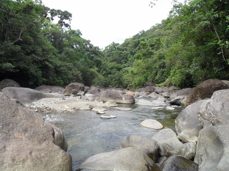 estacao ecologica jureia itatins