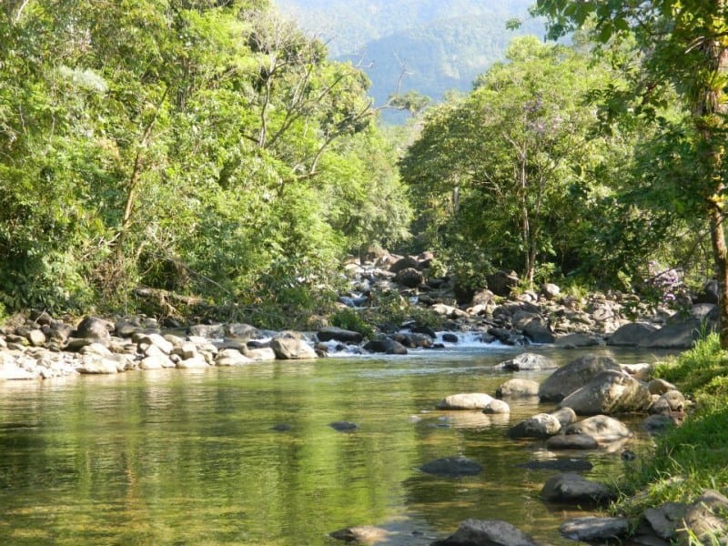 estacao ecologica jureia itatins