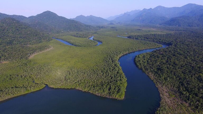 Conheça a Estação Ecológica Jureia-Itatins, recanto com cachoeiras, praias e trilhas em SP