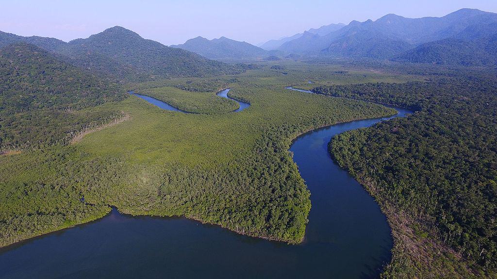 Conheça a Estação Ecológica Jureia-Itatins, recanto com cachoeiras, praias e trilhas em SP