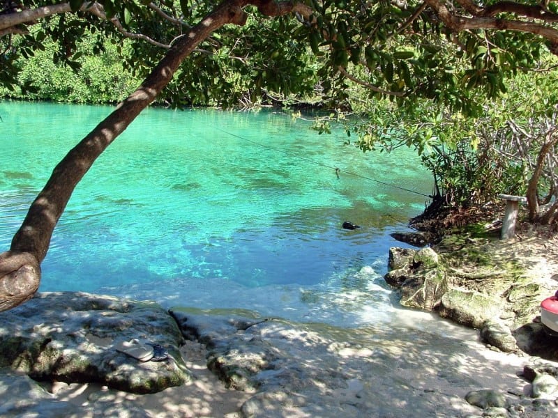Quer mergulhar nas águas transparentes da Riviera Maia? Então, conheça o Casa Cenote no México