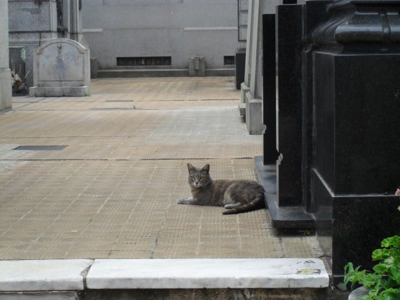 cemitério da recoleta