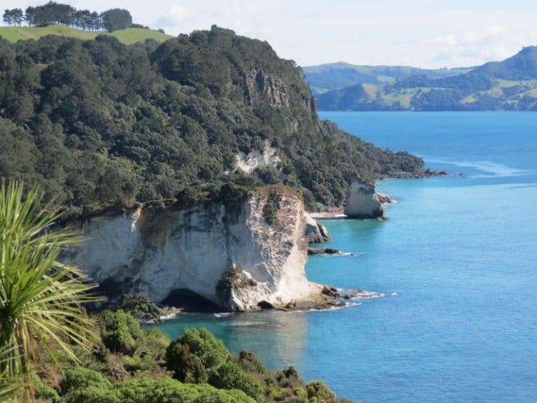 A Península de Coromandel é uma joia da natureza na Ilha Norte da Nova Zelândia
