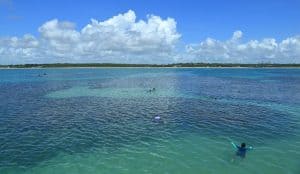 Caribe brasileiro? Conheça as piscinas naturais do Seixas, um paraíso em João Pessoa